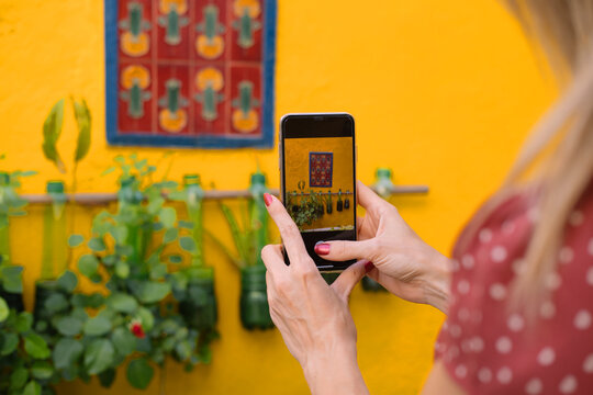 woman using cell phone photographing flowers on the street. Yellow wall on background