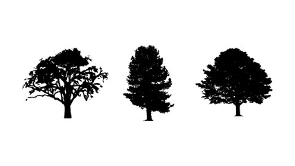 Fototapeta premium Set of tree silhouette on white background