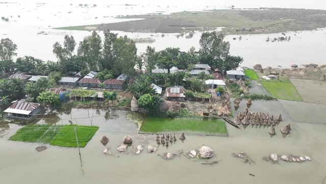 Beautiful aerial landscapes, Green agricultural lands in villages of Bangladesh.