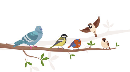 birds on the branch. bullfinch, tit, sparrow, pigeon, crow, birds sitting on the tree in different poses. cartoon vector flat background.