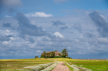 Obraz premium Reetdachkate an einem Wanderweg in der Marschlandschaft bei Norddorf auf Amrum
