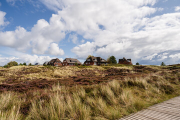 D&uuml;nenlandschaft auf der Norseeinsel Amrum mit dramatischen Wolken und Blich auf Ferienh&auml;user in Norddorf