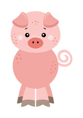 Cute pig isolated on white