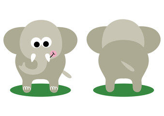 Cute elephant on front and back position