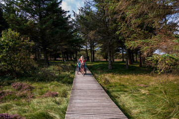 Fototapeta na wymiar Spaziergänger auf den Holzbohlenwegen der Dünenlandschaft auf der Nordseeinsel Amrum