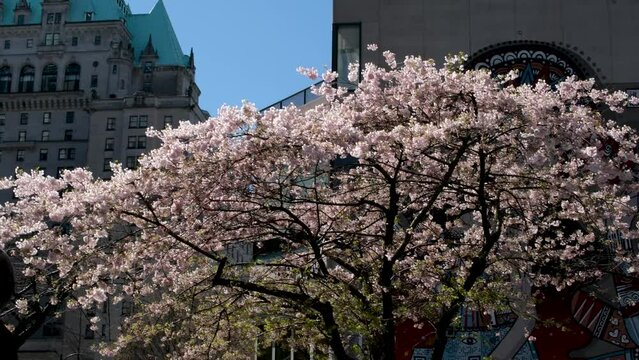 office buildings streets at Burrard Station people rushing to work trolleybus taxi car traffic lights. men and women cross street get into public transport city life Canada Vancouver 12.04.2023
