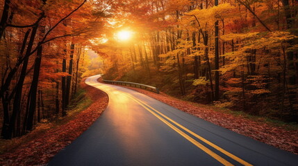 Fototapeta na wymiar Road in an autumn sunset