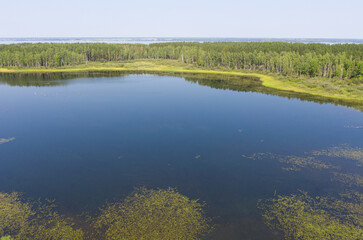 Aerial photo of forest boggy lake in the Karakansky pine forest near the shore of the Ob reservoir.