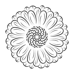 Flower Line Art for print or use as poster, card, flyer or T Shirt