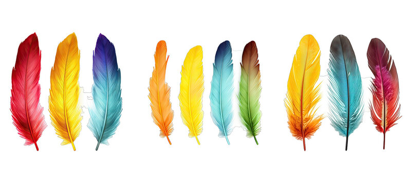 feather parrot feathers illustration colorful background, wing plumage, animal tropical feather parrot feathers