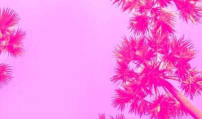 Vivid Pink Tropical Palm Leaves: Endless Copy Space for Your Creative Projects
