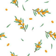 Vector seamless floral pattern with branches and sea buckthorn berries - 645246810