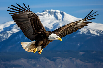a bald eagle flying over a mountain range