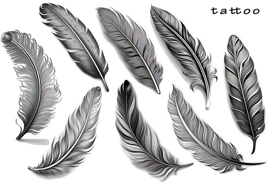 Beautiful feathers for tattoo