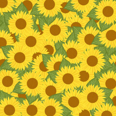 sunflower pattern