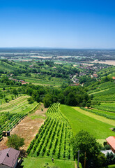 Fototapeta na wymiar The view from the Vinarium observation tower on the Lendava vineyard region, Slovenia