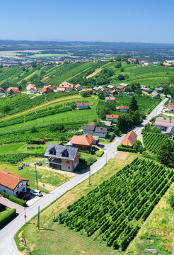 The view from the Vinarium observation tower on the Lendava vineyard region, Slovenia