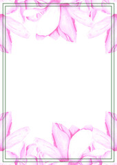 Hand drawn watercolor pink magnolia flowers post card. Isolated on white background. Can be used for invitation, poster, banner, lable.