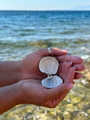 Pearls in a shell on women's palms. A jewel from the depths of the ocean. Treasures from the depths of the sea, a pearl in a shell.