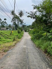 Deserted concrete road and poles with many wires in the countryside among the tropical thickets
