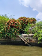 View from a boat on the embankment of the canal stairs leading to the water in the countryside of Thailand
