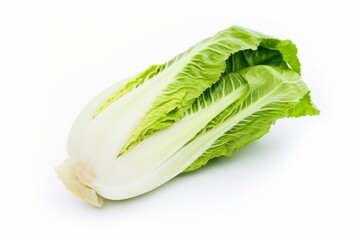 A halved lettuce on a clean white background