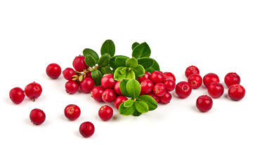 Cranberry with leaves, close-up, isolated on white background.