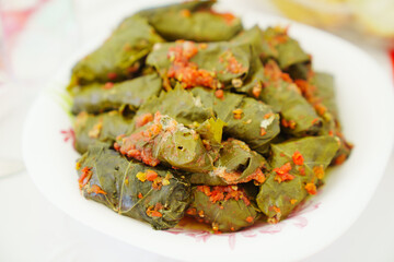 Grape leaf dolma in a white plate. 