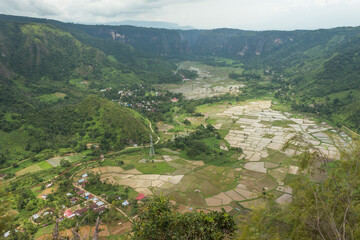 Fototapeta na wymiar View over rice fields in Harau Valley Sumatra Indonesia