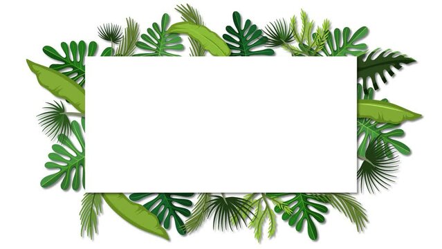 Tropical plant leaves create a beautiful border frame on a white background.