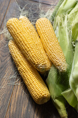Fresh sweet corns on cobs on rustic wooden table with leaves