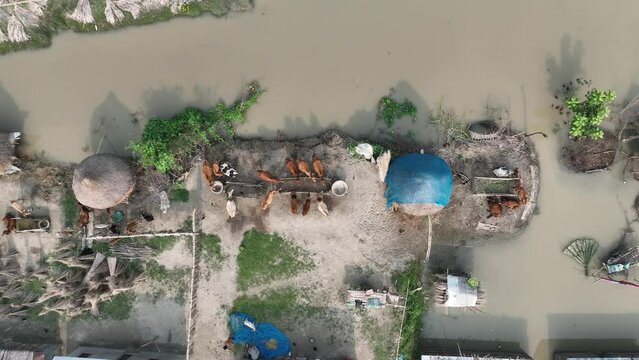 Flood affected areas in Bangladesh. 