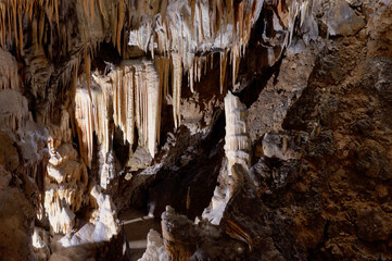 Postojna Cave  (Slovenia)
