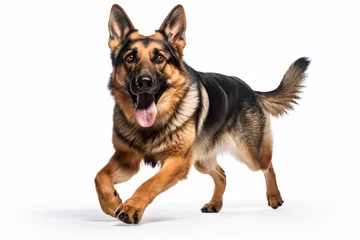 Fotobehang a german shepherd dog running with its tongue out © illustrativeinfinity