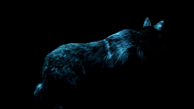 The wolf in the blue light looks around alertly. High quality animation of a wolf monster.