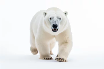 Foto op Canvas a polar bear walking across a white field © illustrativeinfinity