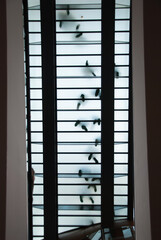 Feet of people walking across a glass walkway high above in an outdoor shopping mall.