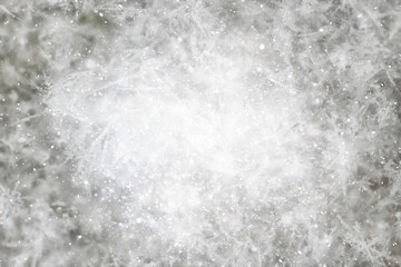 ice snow crystals background abstract white winter