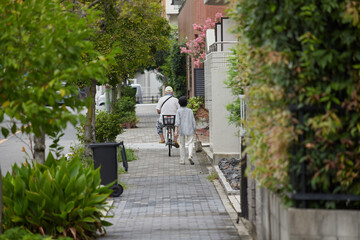夏の昼の住宅街で自転車を乗っているシニア男性と散歩しているシニア女性の様子