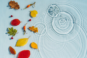 Autumn background, colored fallen leaves on background of water with waves