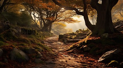 A path blanketed with fallen autumn leaves, inviting exploration