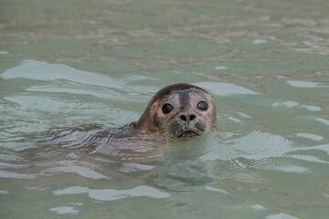 Fototapeta premium Arctic landscape
