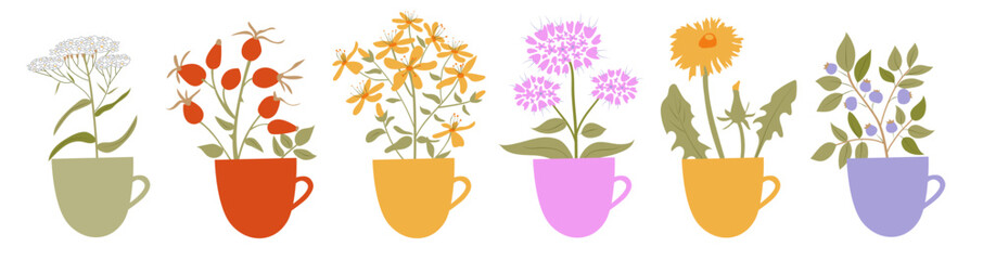 Healing medical herbs in cup for herbal tea pack design or menu. Rose hip, Tutsan or Shrubby St. John's Wort, dandelion, oregano, yarrow, blueberry Vector flat illustratio.n