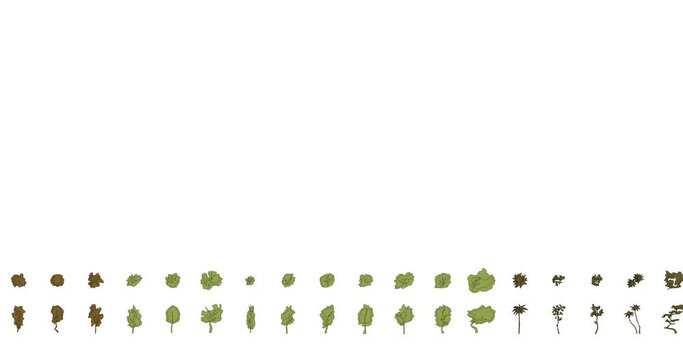 Tree set