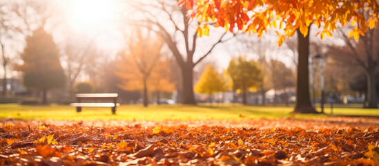 selective focus of fallen autumn leaves on a park with blurred background - autumn background