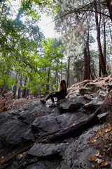 autumn atmosphere in the forest.