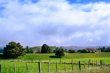 Fototapeta premium Iconic rural landscape with green pastures and rolling hills. North Island, New Zealand
