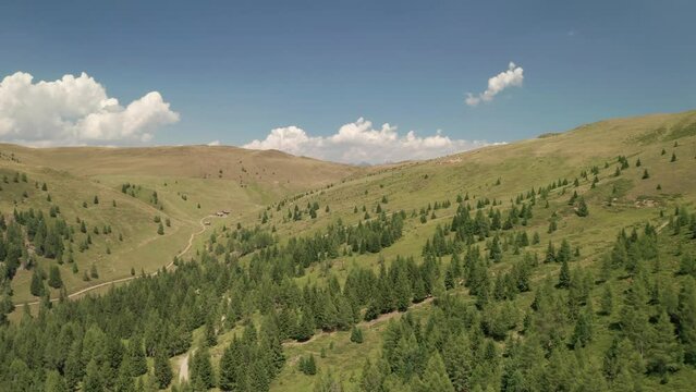 Drone soars forward over lush forest and meadows near Luzen village, Italian Dolomites. A serene aerial journey through nature's beauty. A walking path and small cottages can be seen. LuPa Creative.