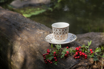 An empty cup of coffee with golden patterns, in a small saucer, stands on a log, against the backdrop of a picturesque river in the morning. Nearby lies a branch of rowan. Image for your design.