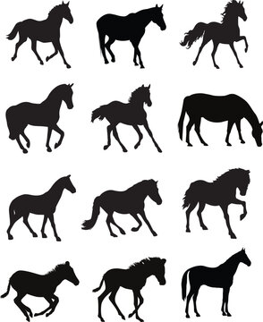 Horse Silhouette Vector Pack